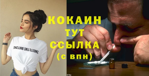 прущие грибы Братск