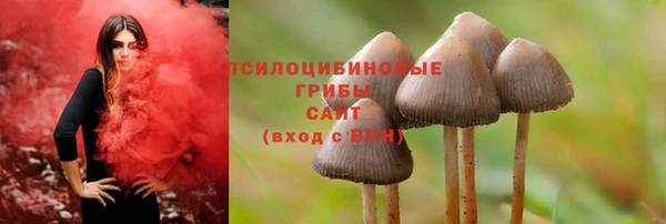 МДМА Няндома