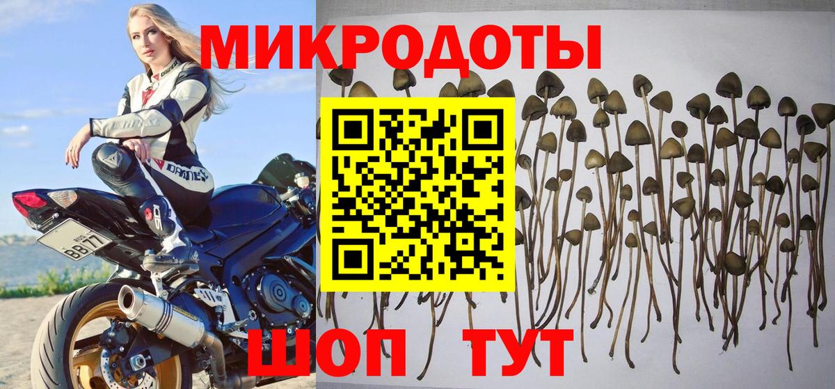 Галлюциногенные грибы Psilocybine cubensis  Вход с VPN  Псилоцибиновые грибы Psilocybe  Старая Купавна 