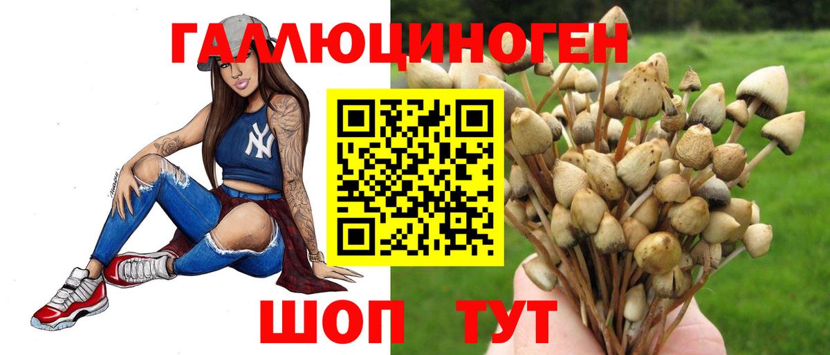 Псилоцибиновые грибы Psilocybine cubensis Старая Купавна